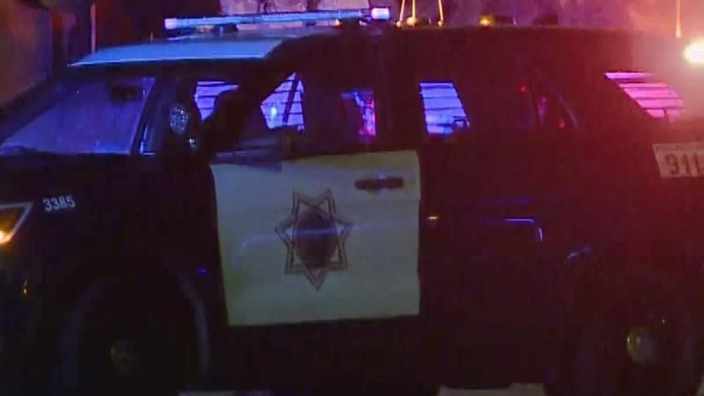 San Jose teens involved in traffic stop that preceded police shooting, attempted carjacking — CBS Bay Area (KPIX), Shakopee Schools news