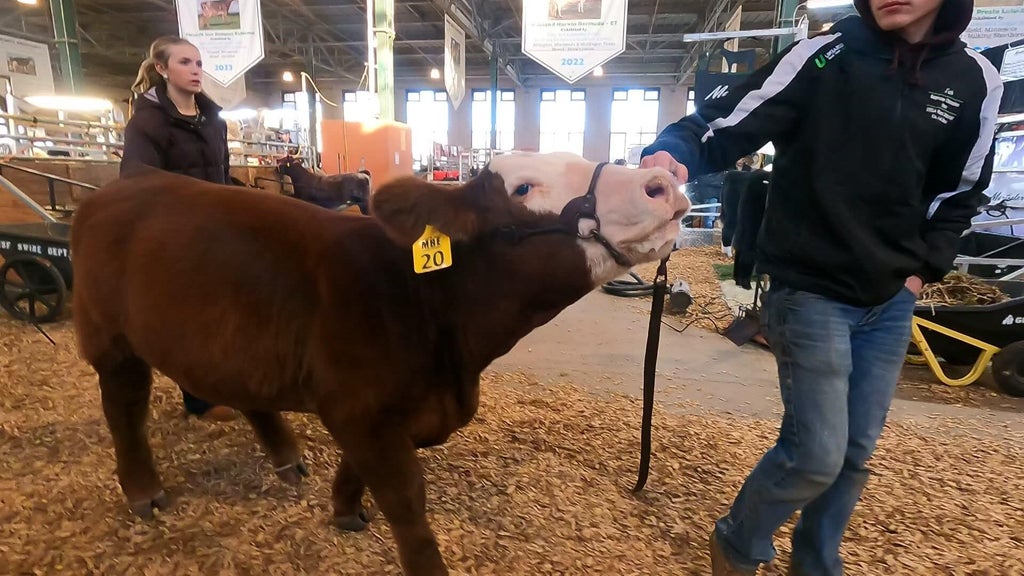 Spotlight on beef as Minnesota midterms near — WCCO / CBS Minnesota, Shakopee Community news