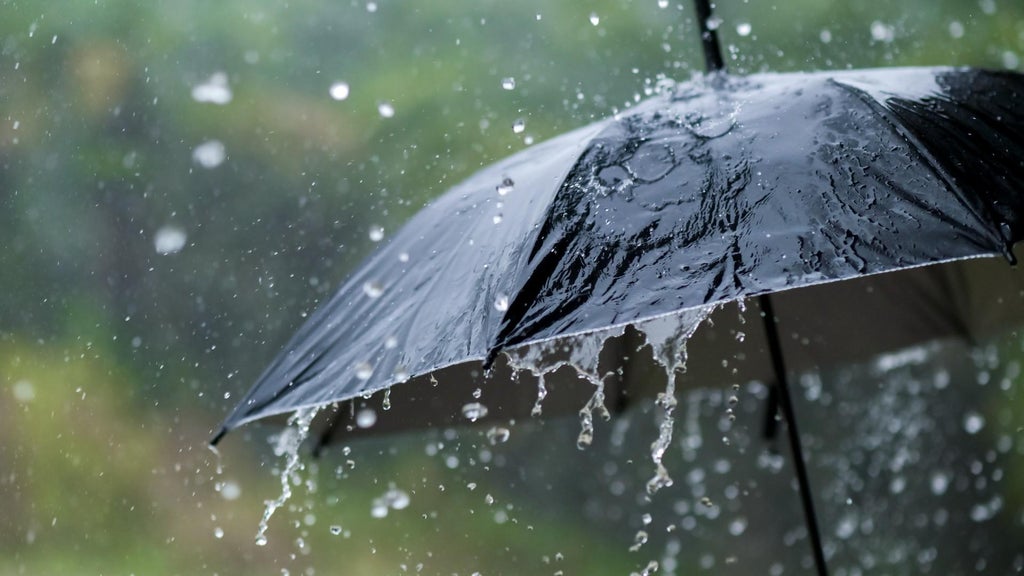 Widespread rain in Minnesota Monday; milder air returns Tuesday — WCCO / CBS Minnesota, Shakopee Community news