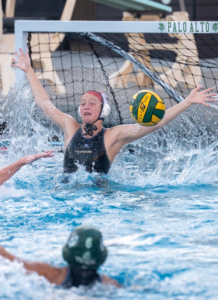 Wilcox Water Polo Caught in Vikings Rip Current — Silicon Valley Voice, Shakopee Sports news