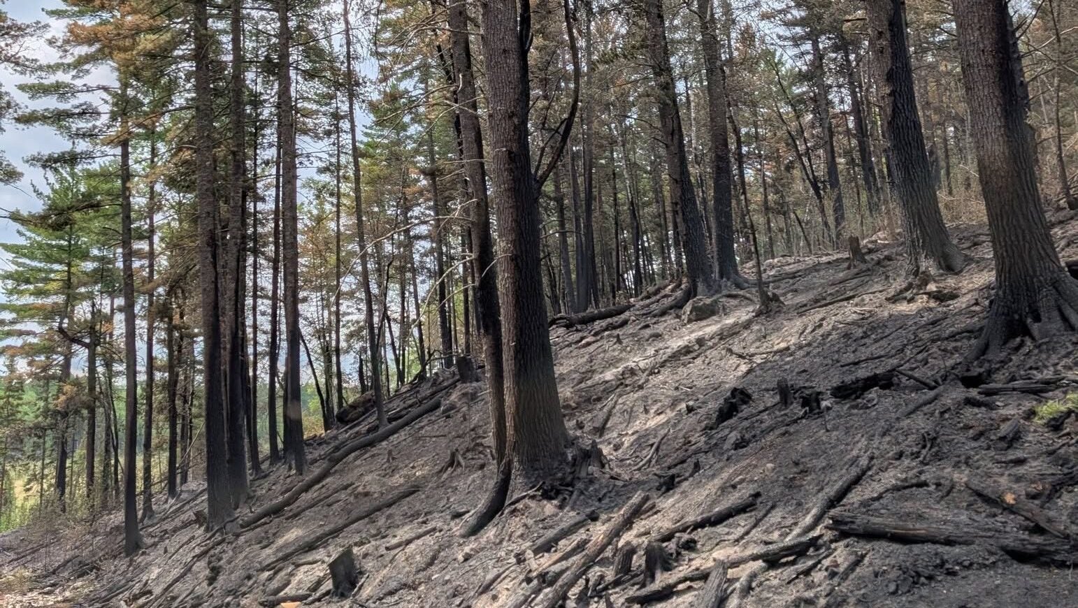 74-year-old who became separated from his family on a trail in Ely was discovered dead — KSTP 5, Shakopee Community news
