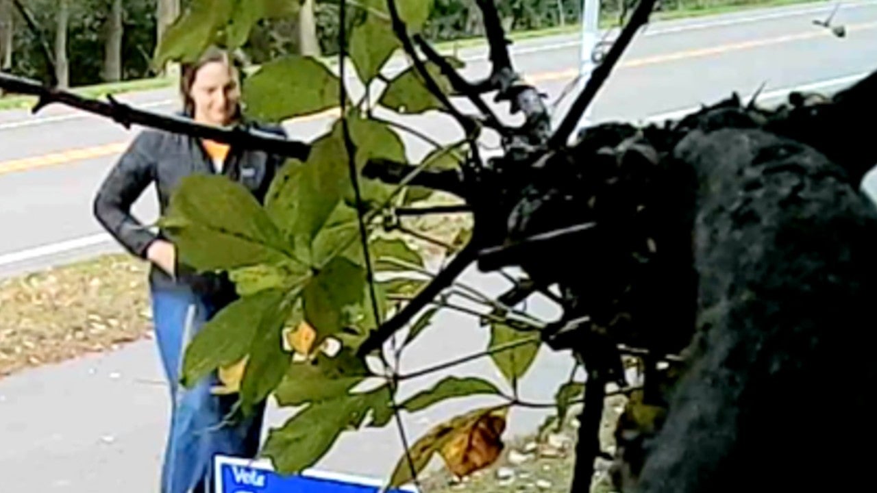 Video: Vadnais Heights council member removes mayoral candidate’s campaign sign, tosses it aside — KSTP 5, Shakopee Real Estate news