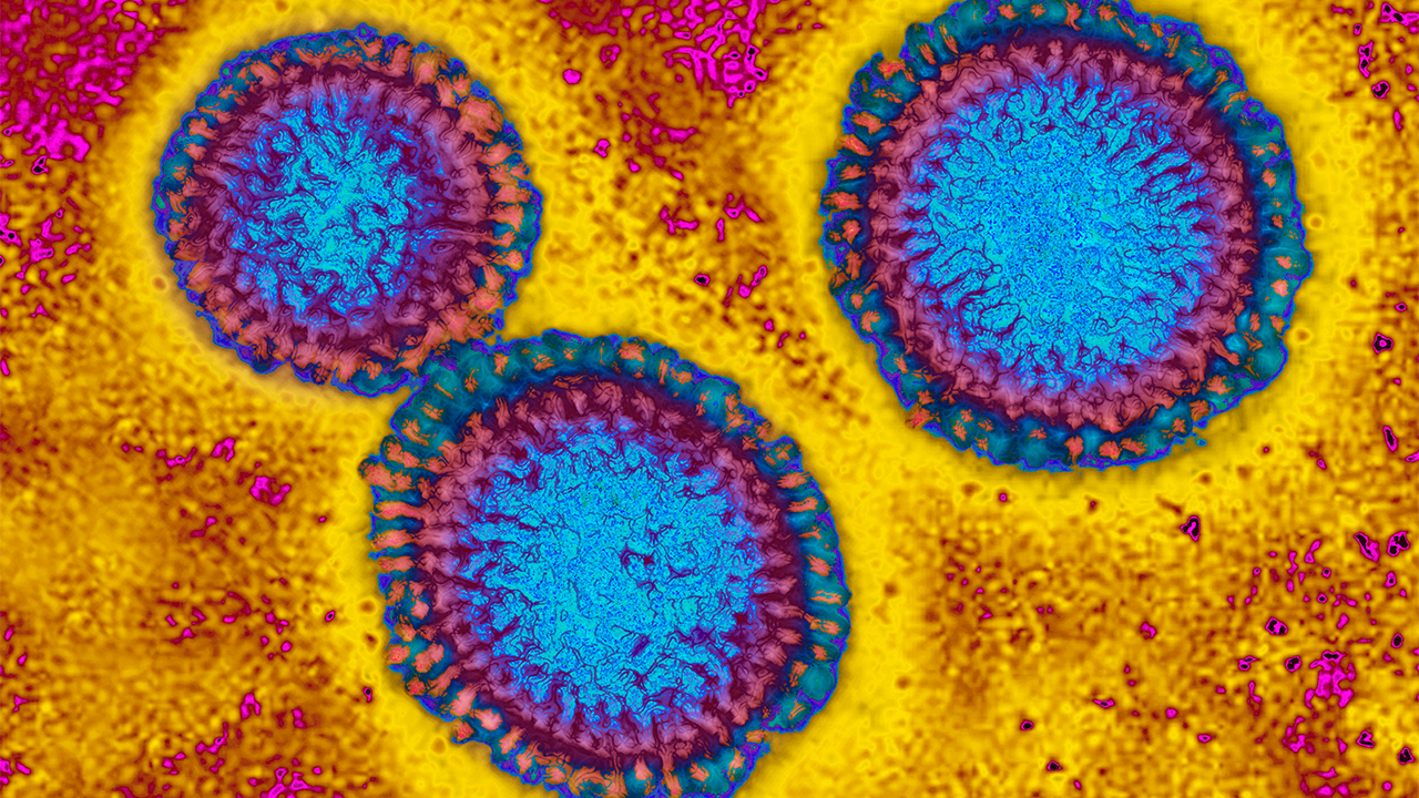 Flu hospitalizations 'slightly higher' than usual, officials urge vaccinations — FOX 9, Shakopee Health news