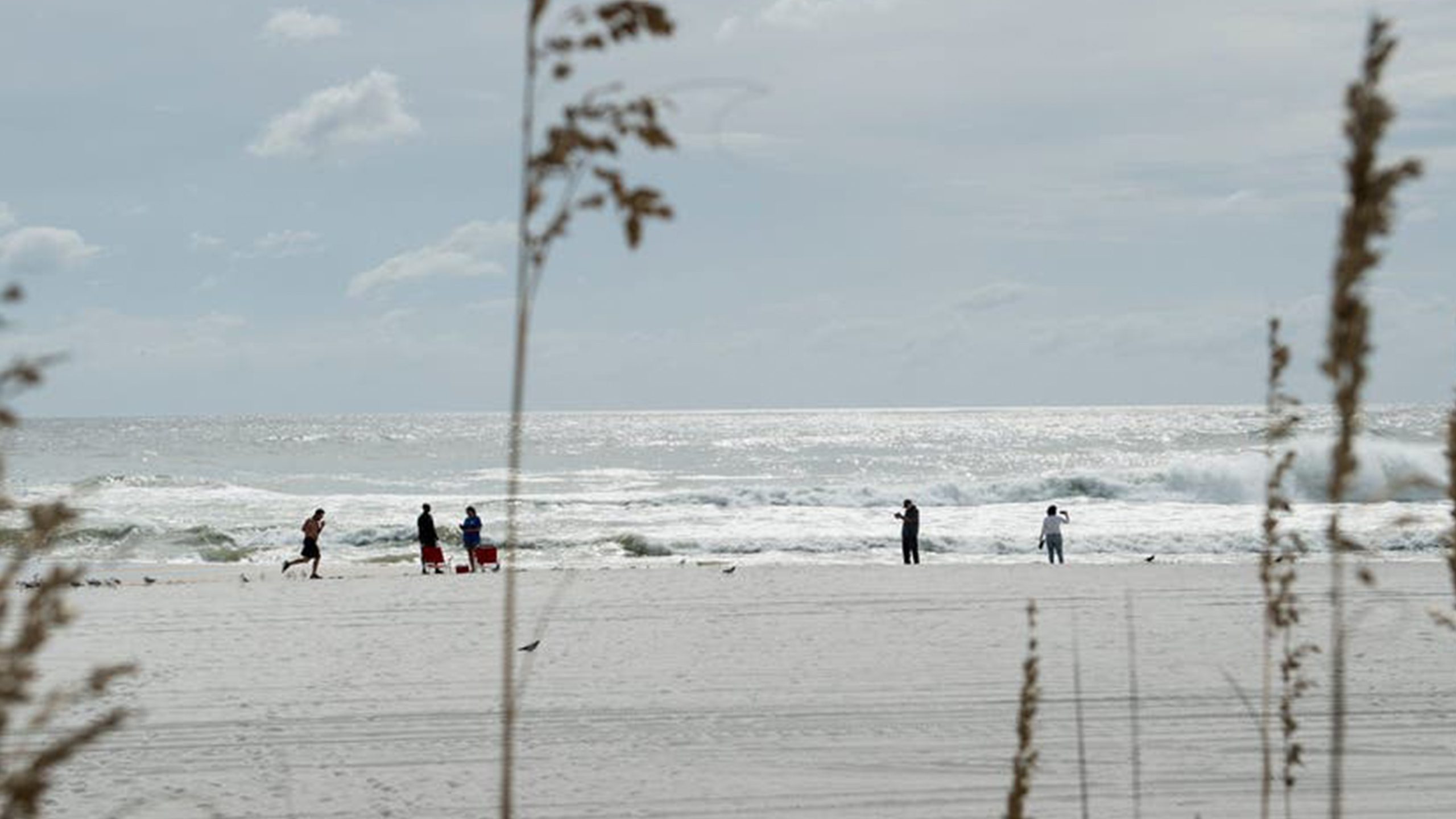 Father of 2 drowns after being caught in current trying to rescue seagull caught in fishing line — Shakopee Community news