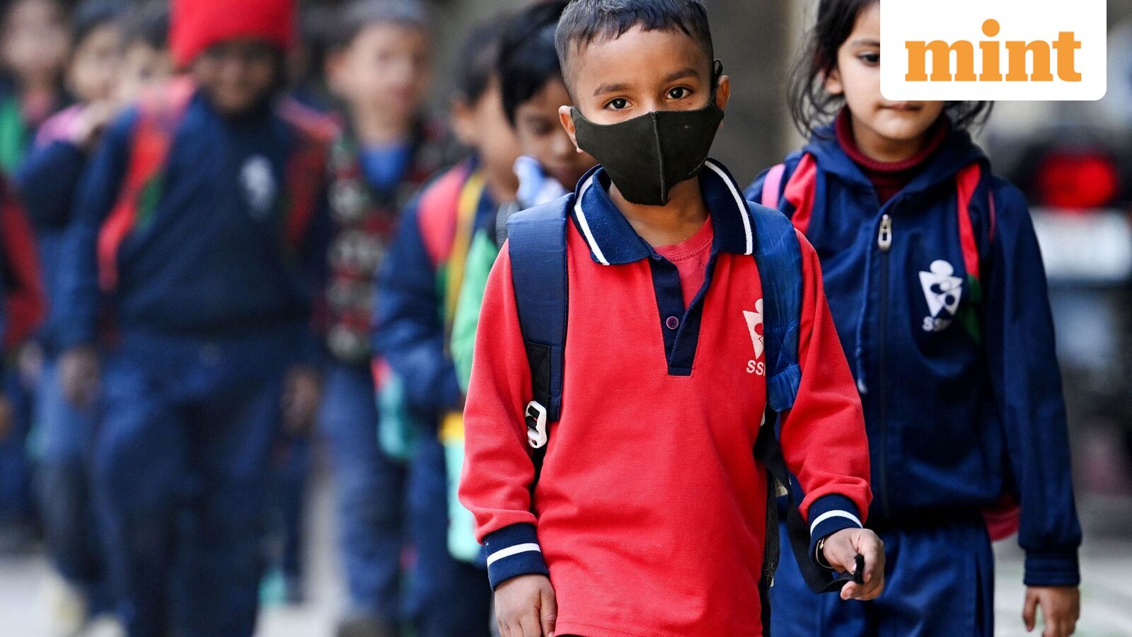 Chennai school holiday, Oct 21: Schools shut in four Tamil Nadu districts as heavy rains predicted | Check IMD alert — Mint India, Shakopee Schools news